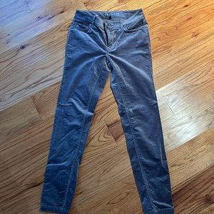 Grey velvet White House black